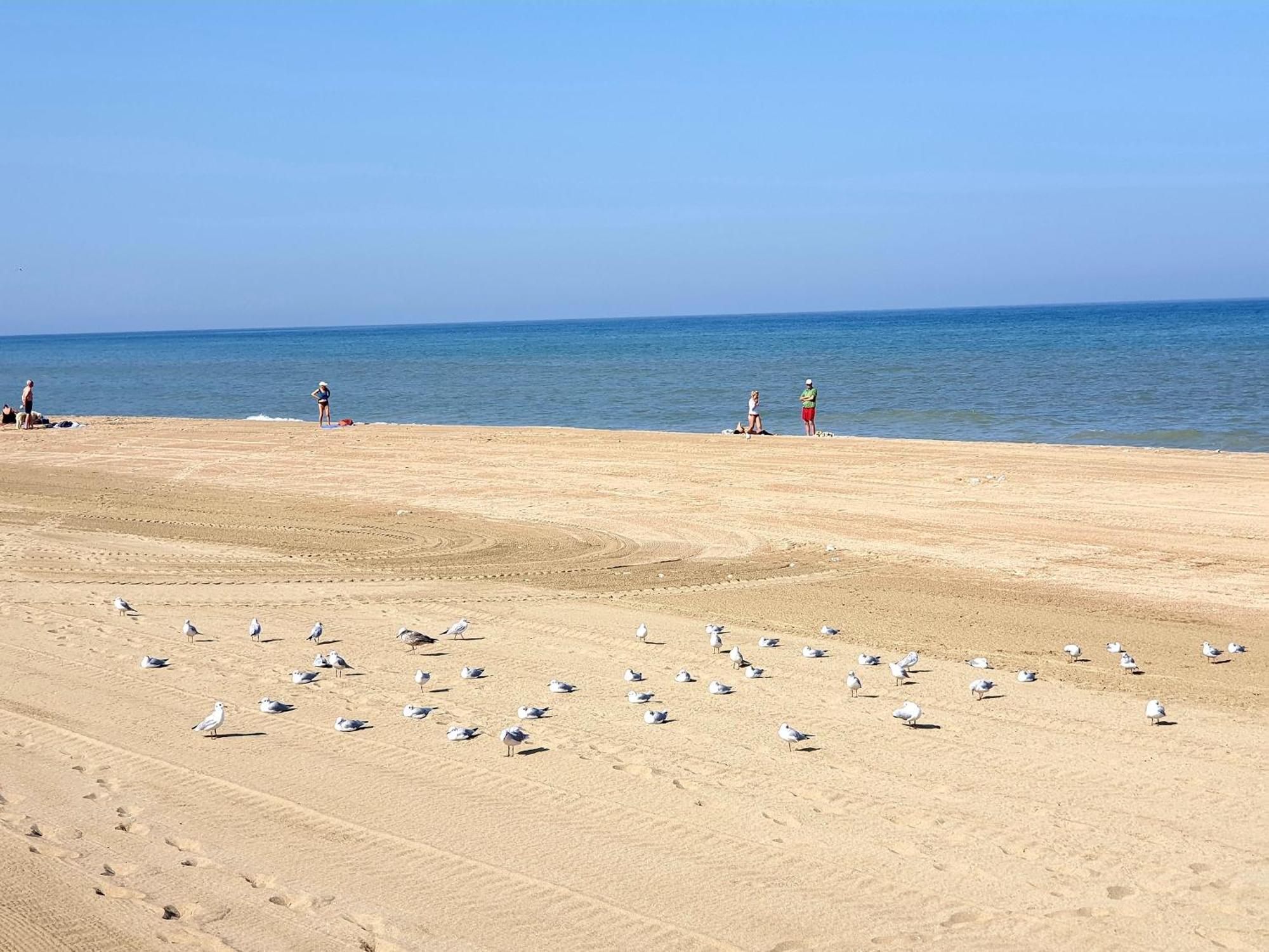 Plazza Front De Mer Вилер-сюр-Мер Екстериор снимка